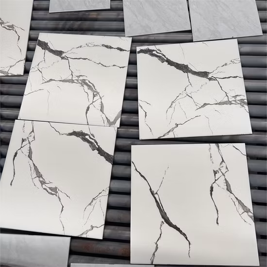 Trusus 600 x 600 mm rustikale antike Keramikfliesen aus Zementporzellan